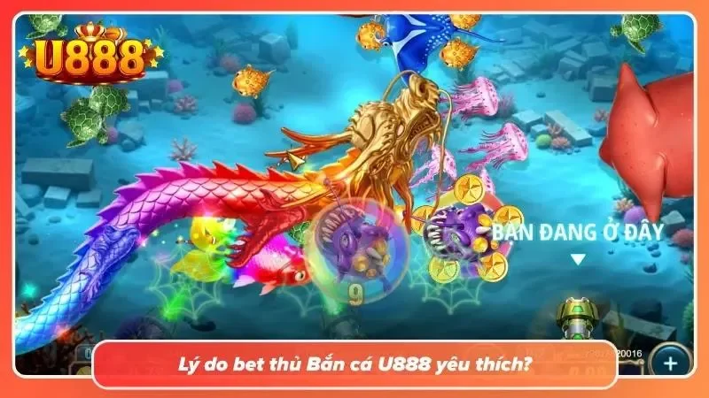 Tìm hiểu sơ lược về khái niệm bắn cá
