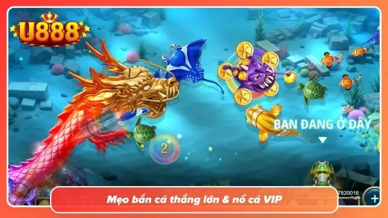 Khám phá các mẹo bắn dành cho tân thủ