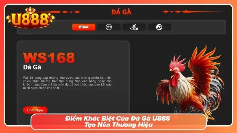 Màn hình livestream đá gà U888 cực đỉnh