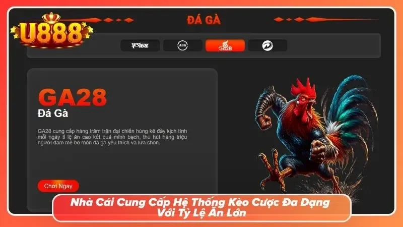 Người chơi thắng thưởng với nhiều con số cược