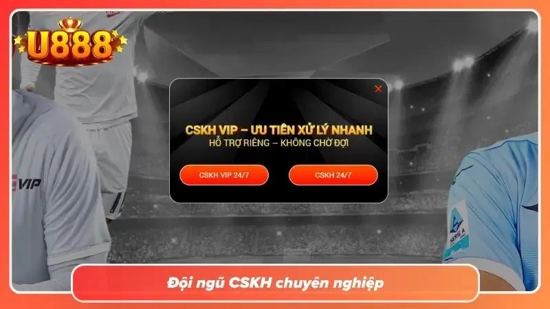 Đội ngũ CSKH thân thiện và hỗ trợ tiếng Việt