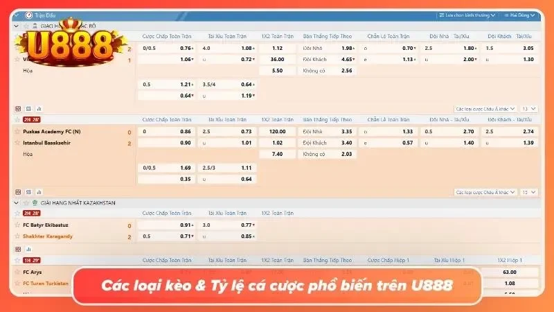Khám phá các loại kèo cược phổ biến tại U888