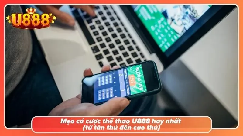 Khám phá các mẹo để cược khôn ngoan tại U888